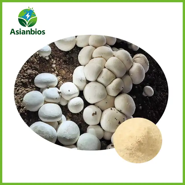 Button Mushroom Extract